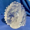 IMG_5641.webp Clear Elestial Quartz Feathered Shaman Skull