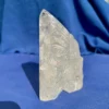 IMG_5644.webp Clear Elestial Quartz Feathered Shaman Skull