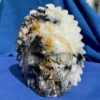 IMG_5649.webp Large Tourmaline Quartz Feathered Shaman Skull