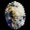 IMG_5649-Photoroom.webp Large Tourmaline Quartz Feathered Shaman Skull