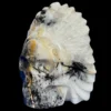 IMG_5651-Photoroom.webp Large Tourmaline Quartz Feathered Shaman Skull