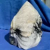 IMG_5654.webp Large Tourmaline Quartz Feathered Shaman Skull