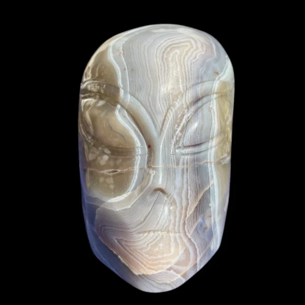 IMG_5656-Photoroom.webp Druzy Agate Alien Skull