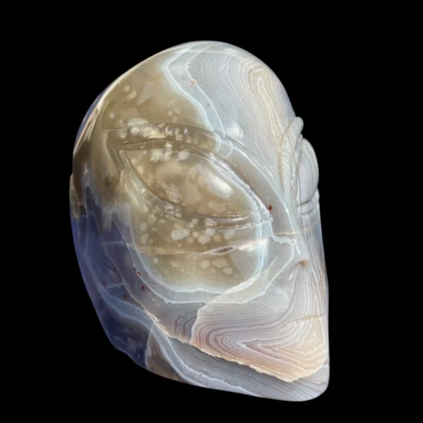 IMG_5657-Photoroom.webp Druzy Agate Alien Skull