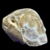 IMG_5659-Photoroom.webp Druzy Agate Alien Skull