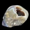 IMG_5660-Photoroom.webp Druzy Agate Alien Skull