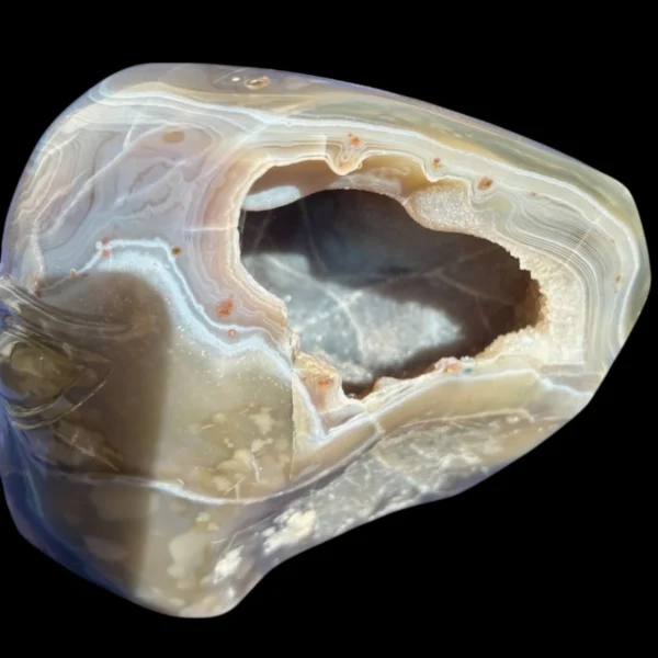 IMG_5661-Photoroom.webp Druzy Agate Alien Skull