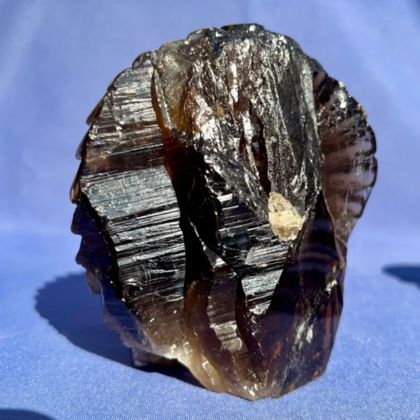 IMG_6368.webp Elestial Smoky Quartz Skull โ Shaman Style, Raw Back