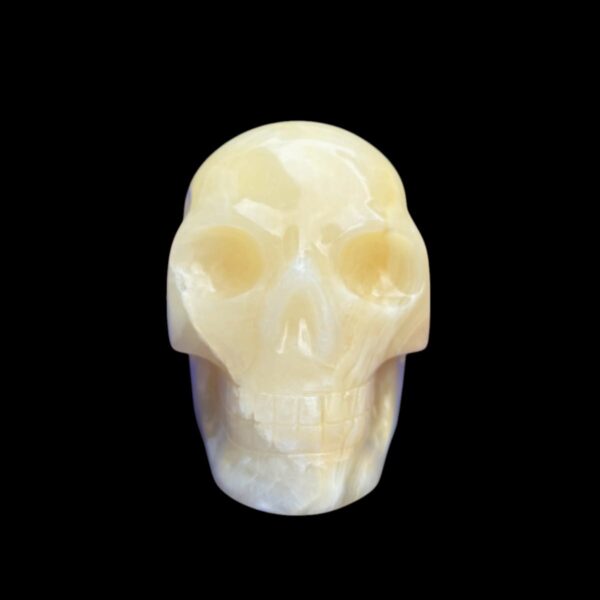 Onyx-skull.jpg White & Yellow Onyx Crystal Skull by Walmere – 0.79 kg