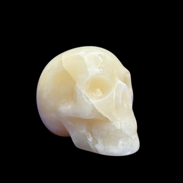 Onyx-skull2.jpg White & Yellow Onyx Crystal Skull by Walmere – 0.79 kg