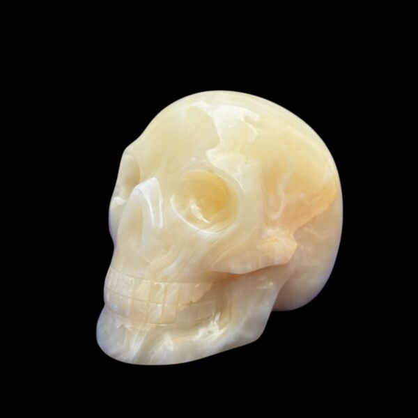 Onyx-skull3.jpg White & Yellow Onyx Crystal Skull by Walmere – 0.79 kg