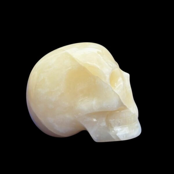 Onyx-skull4.jpg White & Yellow Onyx Crystal Skull by Walmere – 0.79 kg
