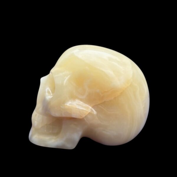 Onyx-skull5.jpg White & Yellow Onyx Crystal Skull by Walmere – 0.79 kg