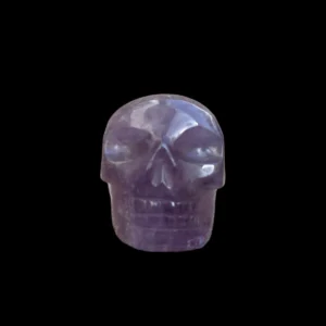 Cart 1 Transparent Amethyst Crystal Skull