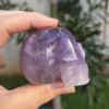 amethyst-crystal-skull4.webp Amethyst Crystal Skull - 193g