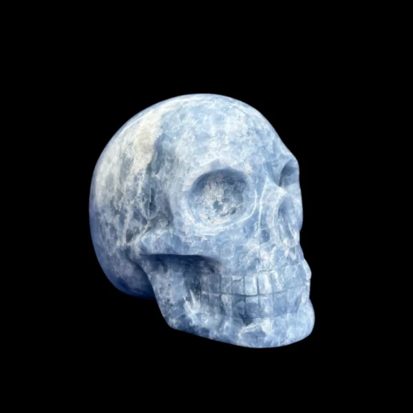 blue-calcite-skull7.webp Blue Calcite Skull | 1.44 kg
