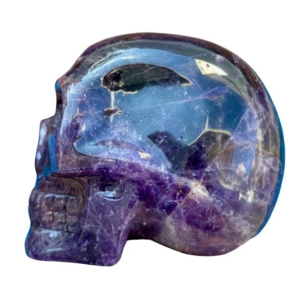 Dark Amethyst Skull by Walmere