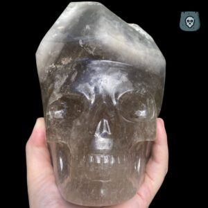 elestial-smoky-quartz-skull0-1.jpeg Elestial smoky quartz skull with green muscovite
