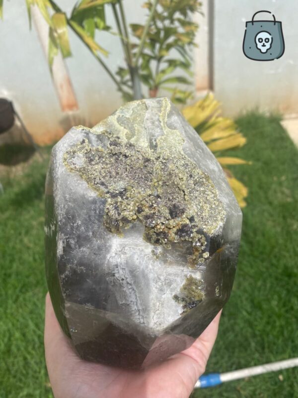 elestial-smoky-quartz-skull4-1.jpeg Elestial smoky quartz skull with green muscovite