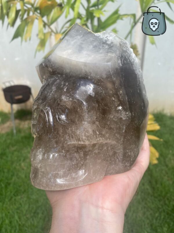 elestial-smoky-quartz-skull7-1.jpeg Elestial smoky quartz skull with green muscovite