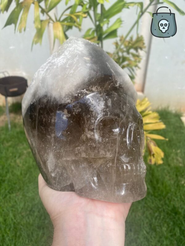 elestial-smoky-quartz-skull8-1.jpeg Elestial smoky quartz skull with green muscovite