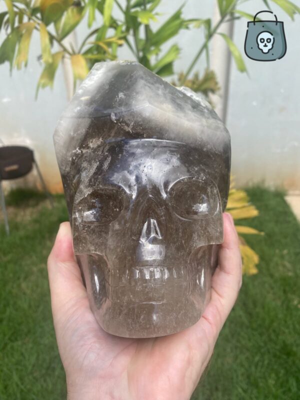 elestial-smoky-quartz-skull9-1.jpeg Elestial smoky quartz skull with green muscovite