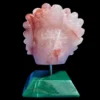 fire-quartz-feathered-shaman-skull8.webp Fire Quartz Feathered Shaman Skull on Aventurine Base