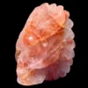 Fire Quartz Feathered Shaman Skull