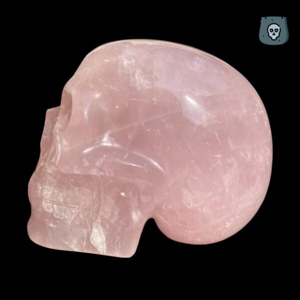 rose-quartz-crystal-skull-by-Walmere04-1.jpg Rose quartz skull by Walmere - 2.345 kg