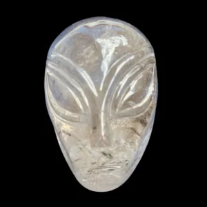 rutilated-smoky-quartz-alien-skull.webp Rutilated Smoky Quartz Alien Skull