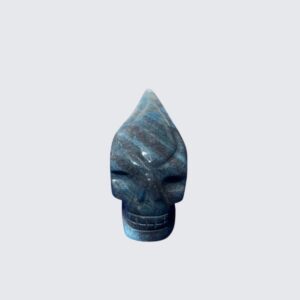 small-trolleite-traveller-skull.jpg Small Trolleite Traveller Skull – 8.5 cm