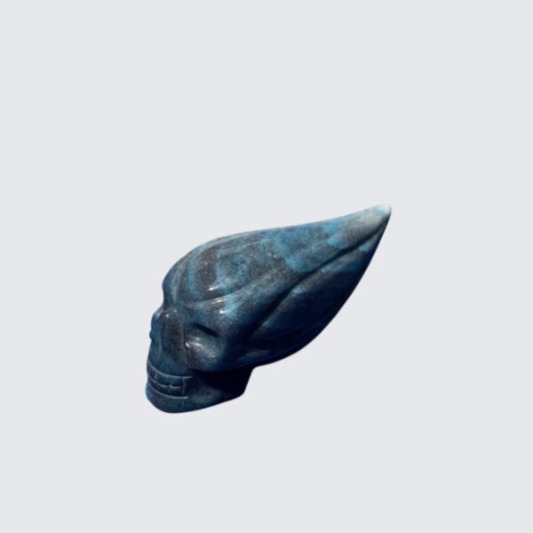 small-trolleite-traveller-skull3.jpg Small Trolleite Traveller Skull β 8.5 cm