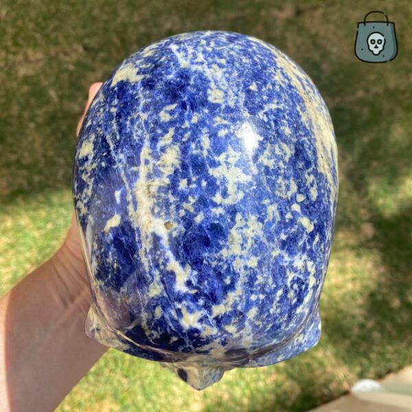 Large Sodalite Skull by Walmere