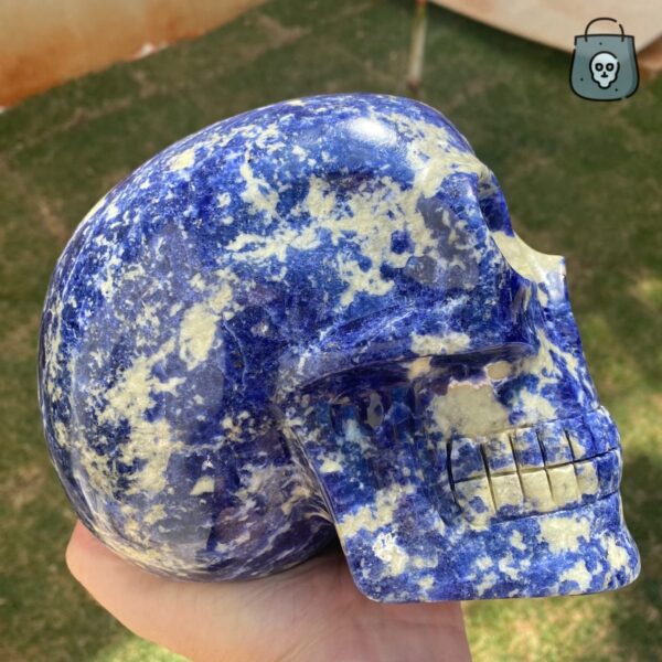 Large Sodalite Skull by Walmere