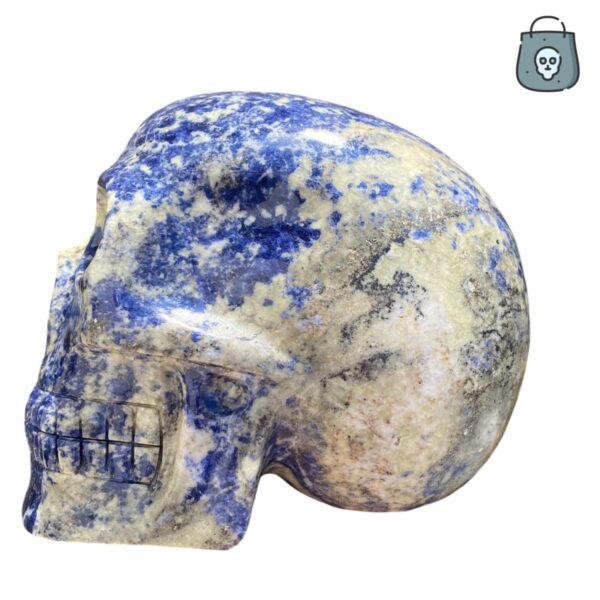 Large Sodalite Skull by Walmere