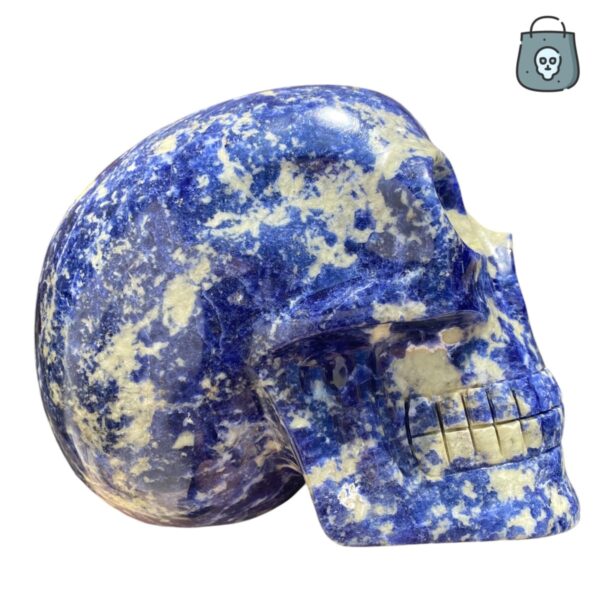 Large Sodalite Skull by Walmere