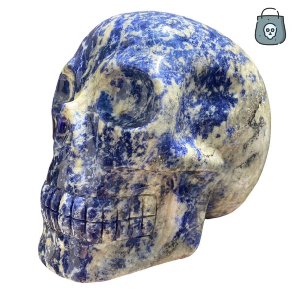 Large Sodalite Skull by Walmere