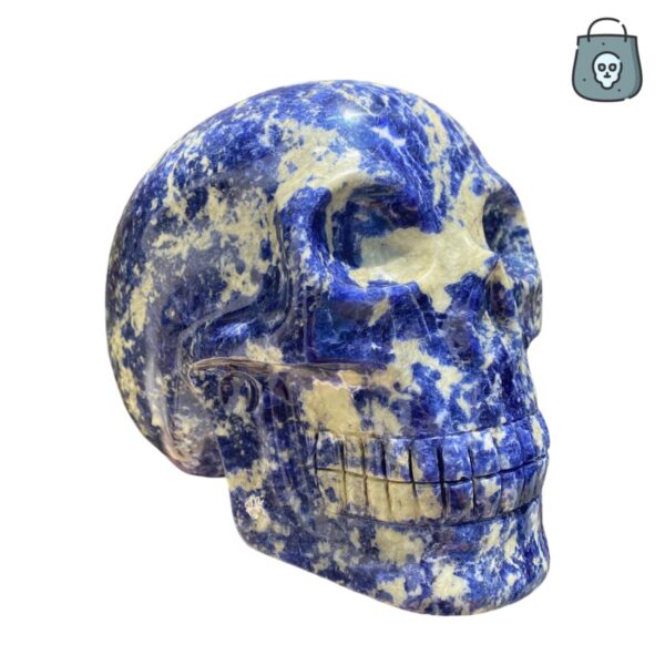 Large Sodalite Skull by Walmere
