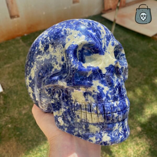 Large Sodalite Skull by Walmere