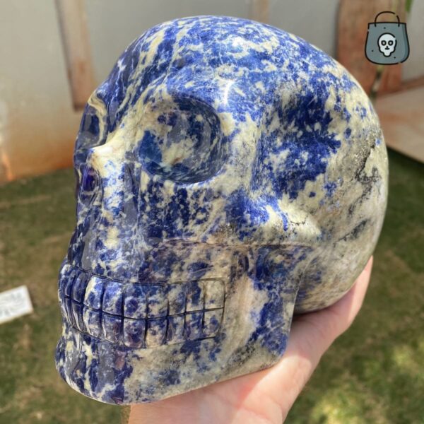 Large Sodalite Skull by Walmere