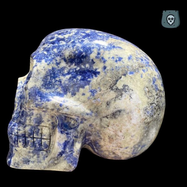 Large Sodalite Skull by Walmere