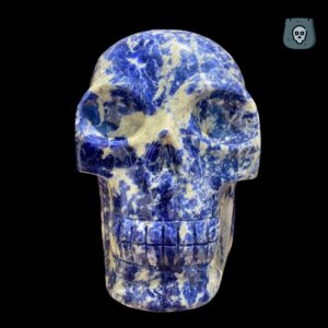 sodalite-crystal-skull-Walmere6-1.jpg Large Sodalite Skull by Walmere